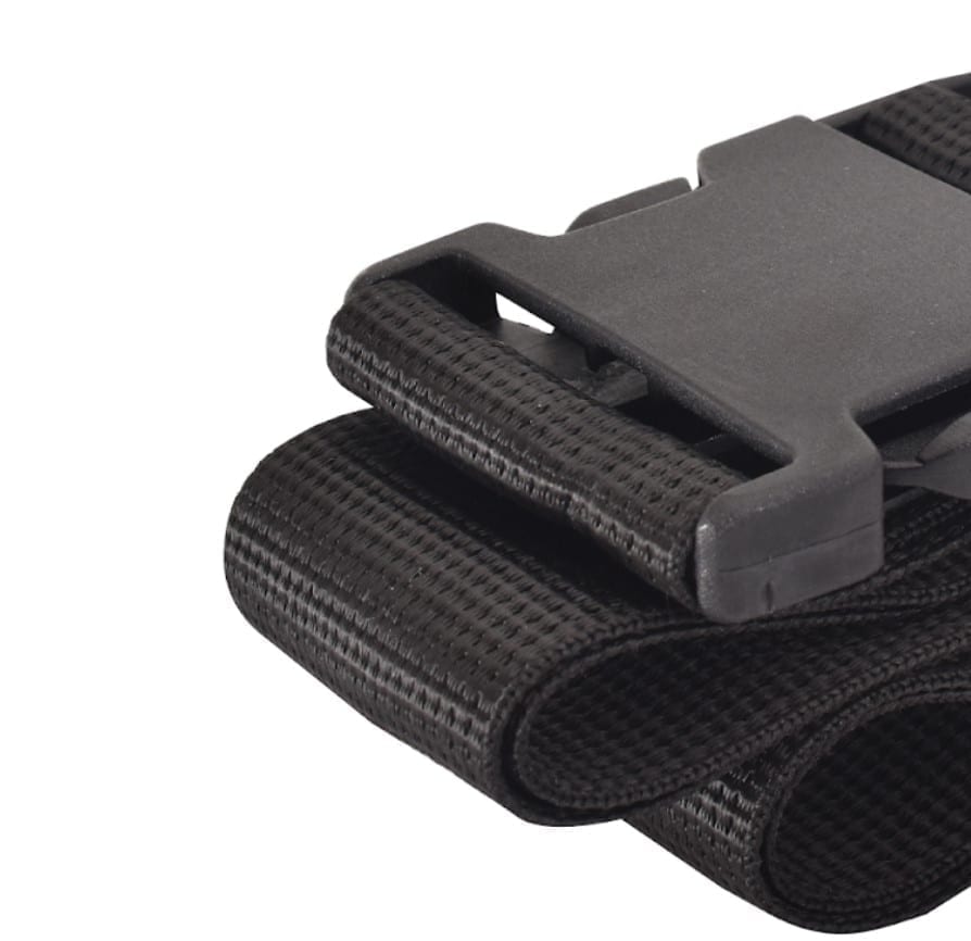 רצועה ללוח גב