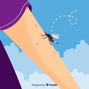 עקיצות יתושים מרובות